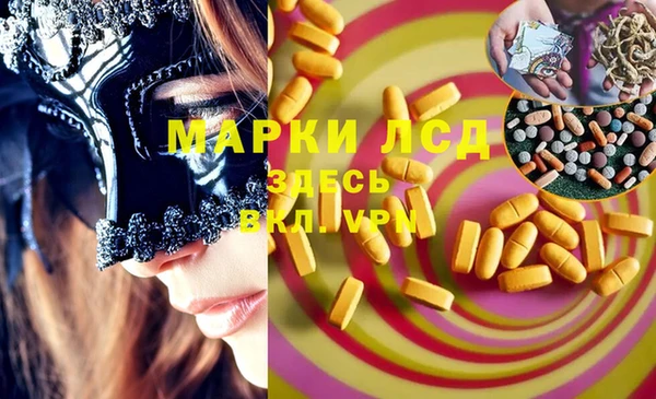 шишки Каменногорск