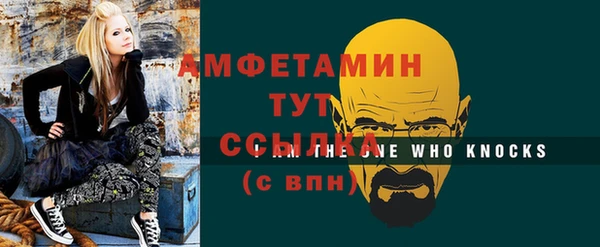 шишки Каменногорск