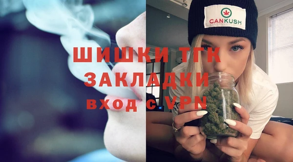 spice Каменка