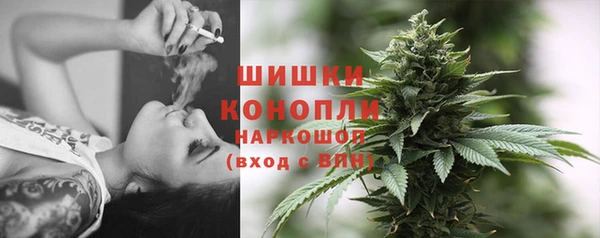шишки Каменногорск