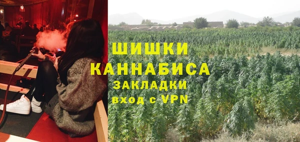 шишки Каменногорск