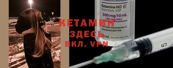шишки Каменногорск