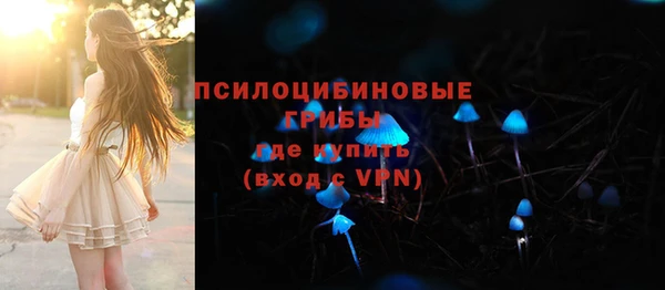 spice Каменка