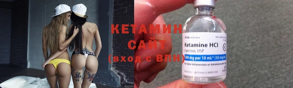 шишки Каменногорск