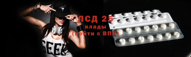 spice Каменка