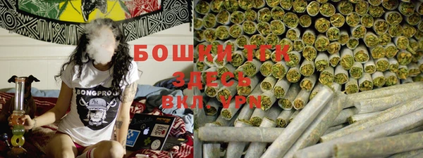 spice Каменка