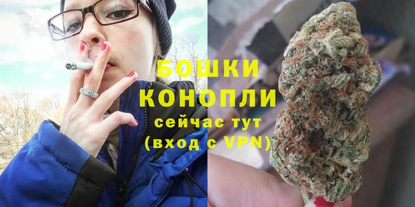 spice Каменка