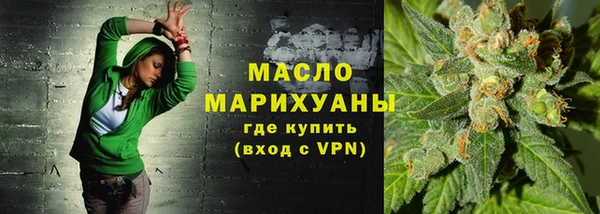 шишки Каменногорск