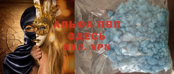 шишки Каменногорск