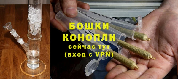 шишки Каменногорск