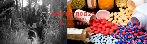 шишки Каменногорск
